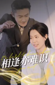 相逢亦难识