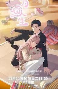 为喵人生