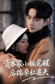 资本家小姐觉醒后揣孕肚追夫