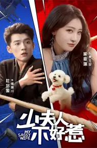 少夫人不好惹