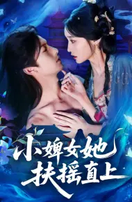 小婢女她扶摇直上