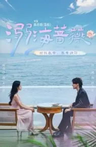 溺海蔷薇