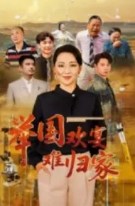 举国欢宴难归家