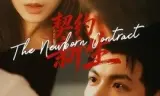 契约新生