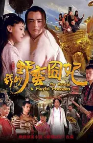 我的野蛮囧妃
