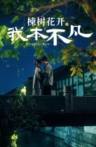 楝树花开之我本不凡