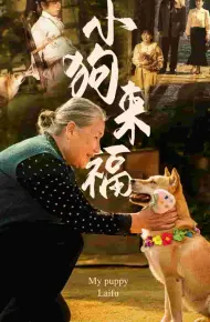 小狗来福