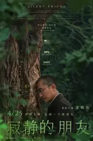 寂静的朋友
