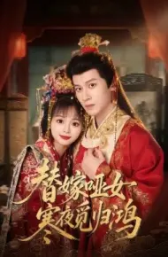 替嫁哑女寒夜觅归鸿