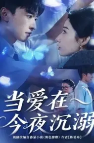 当爱在今夜沉溺