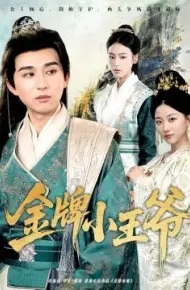 金牌小王爷