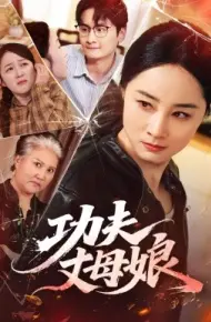 功夫丈母娘