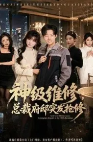 神级维修，总裁府邸突发抢修