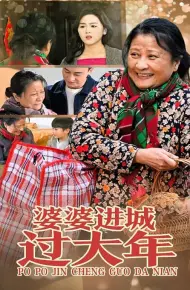 婆婆进城过大年