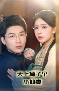 天上掉了个小仙妻