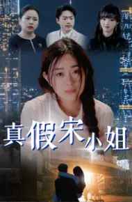 真假宋小姐