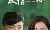 爱情保镖