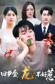 回乡金龙不好惹