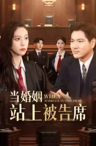 当婚姻站上被告席