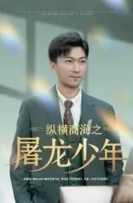 纵横商海之屠龙少年