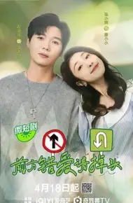 前方错爱请掉头