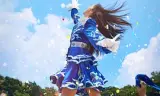 青春应援