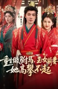 重生做驸马，玉女前妻她高攀不起