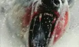 反常