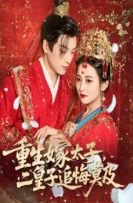 重生嫁太子，二皇子追悔莫及