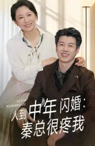 人到中年闪婚秦总很疼我