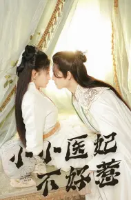 小小医妃不好惹