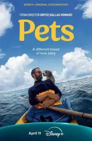 宠 Pets