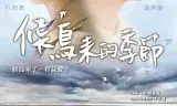 候鸟来的季节
