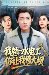 我就一水电工，你让我修大坝