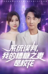 系统误判,我的糟糠之妻是校花
