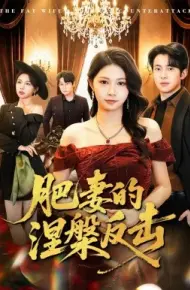 肥妻的涅槃反击