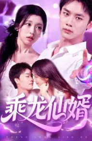 乘龙仙婿