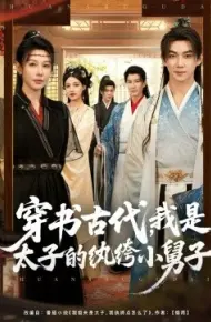 穿书古代，我是太子的纨绔小舅子