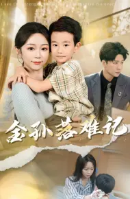 金孙落难记