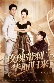 玫瑰带刺华丽归来 婚前测试他不配