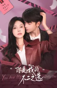 你是我的不二之选