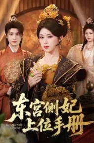 东宫侧妃上位手册