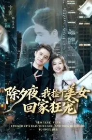 除夕夜,我捡个美女回家狂宠
