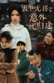 天下无拐之意外归途