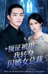 领证被甩,我转身闪婚女总裁