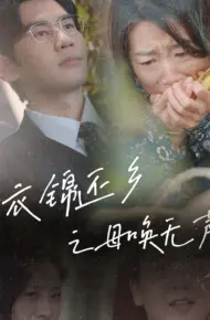 衣锦还乡之母唤无声