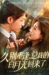 久别重逢，总裁的白月光回来了