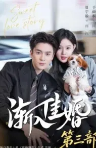 渐入佳婚3