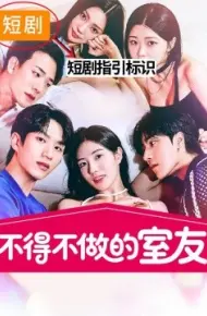 不得不做的室友第一季