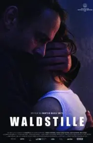 瓦尔德斯蒂尔